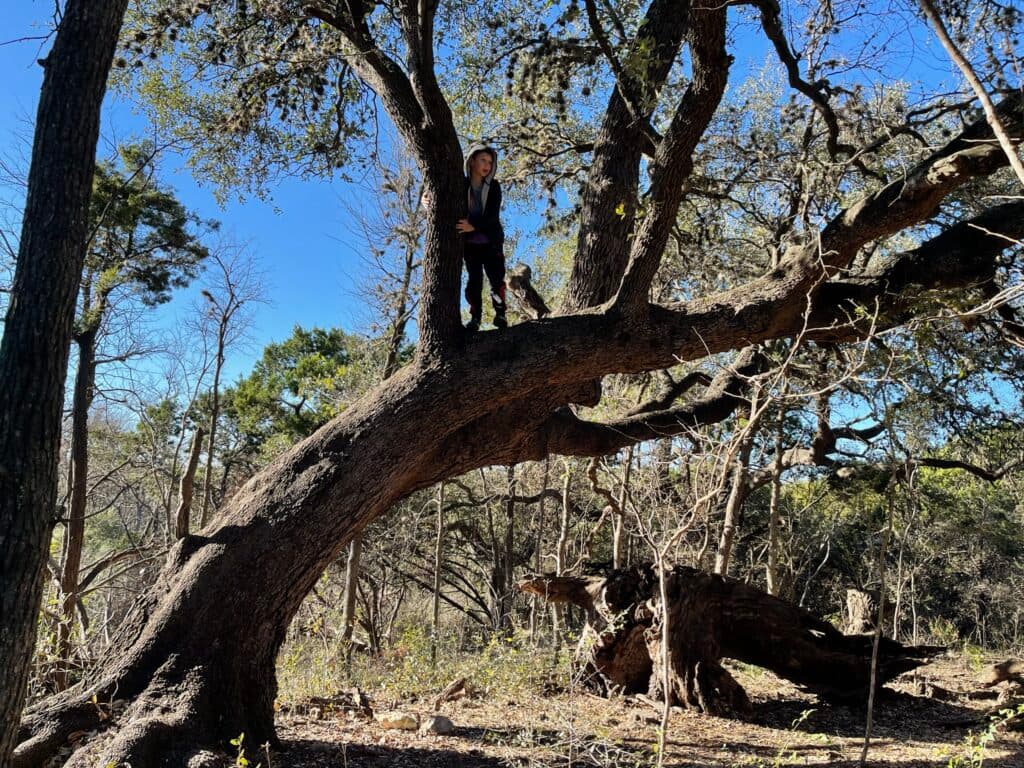Blunn Creek Nature Preserve