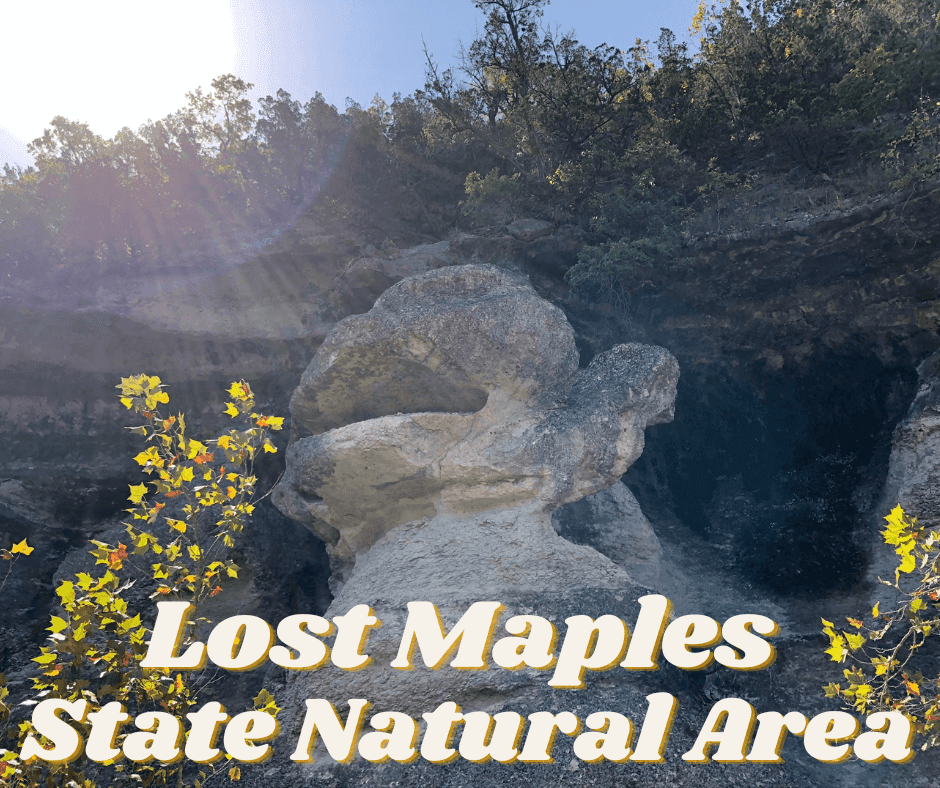 Lost Maples State Natural Area
