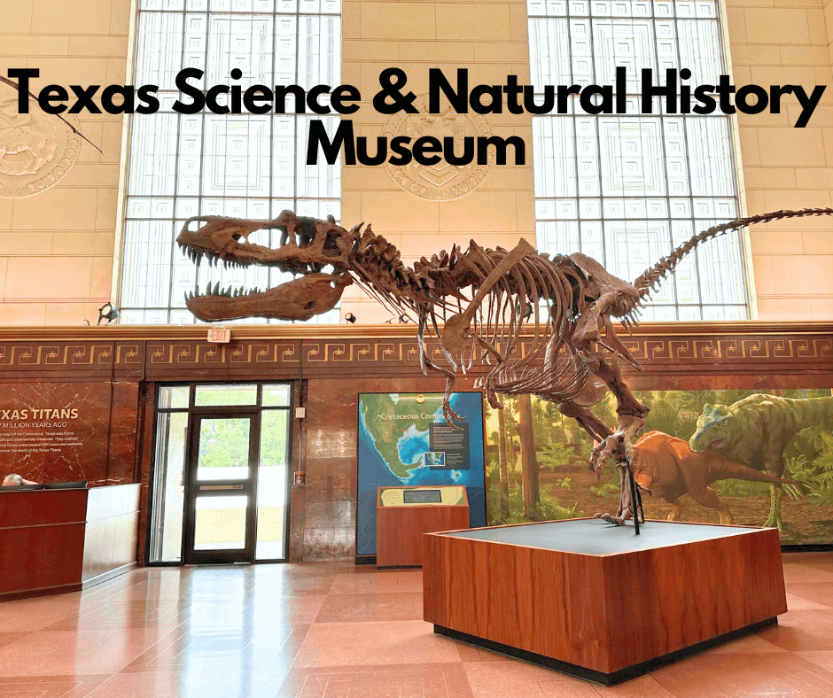 Texas Science & Natural History Museum (formerly the Texas Memorial Museum) NOW OPEN!