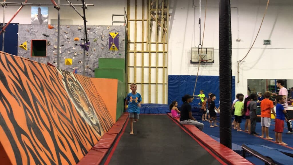 Jungle Movement Academy