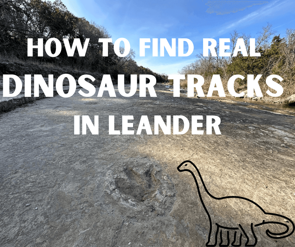 Dino Tracks in Leander