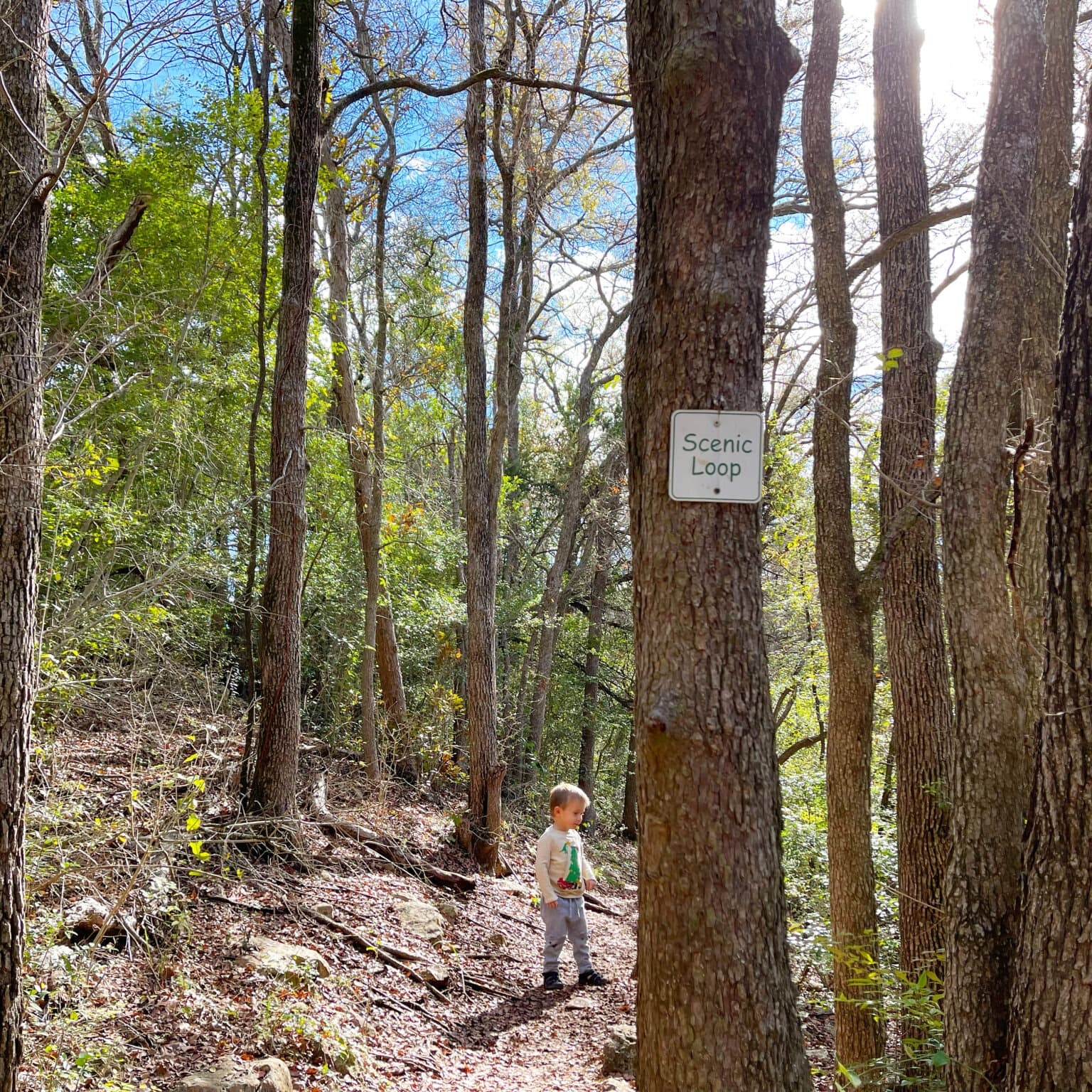 Great Hills Trail