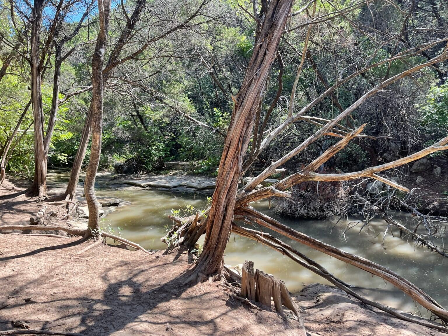 Turkey Creek Trail